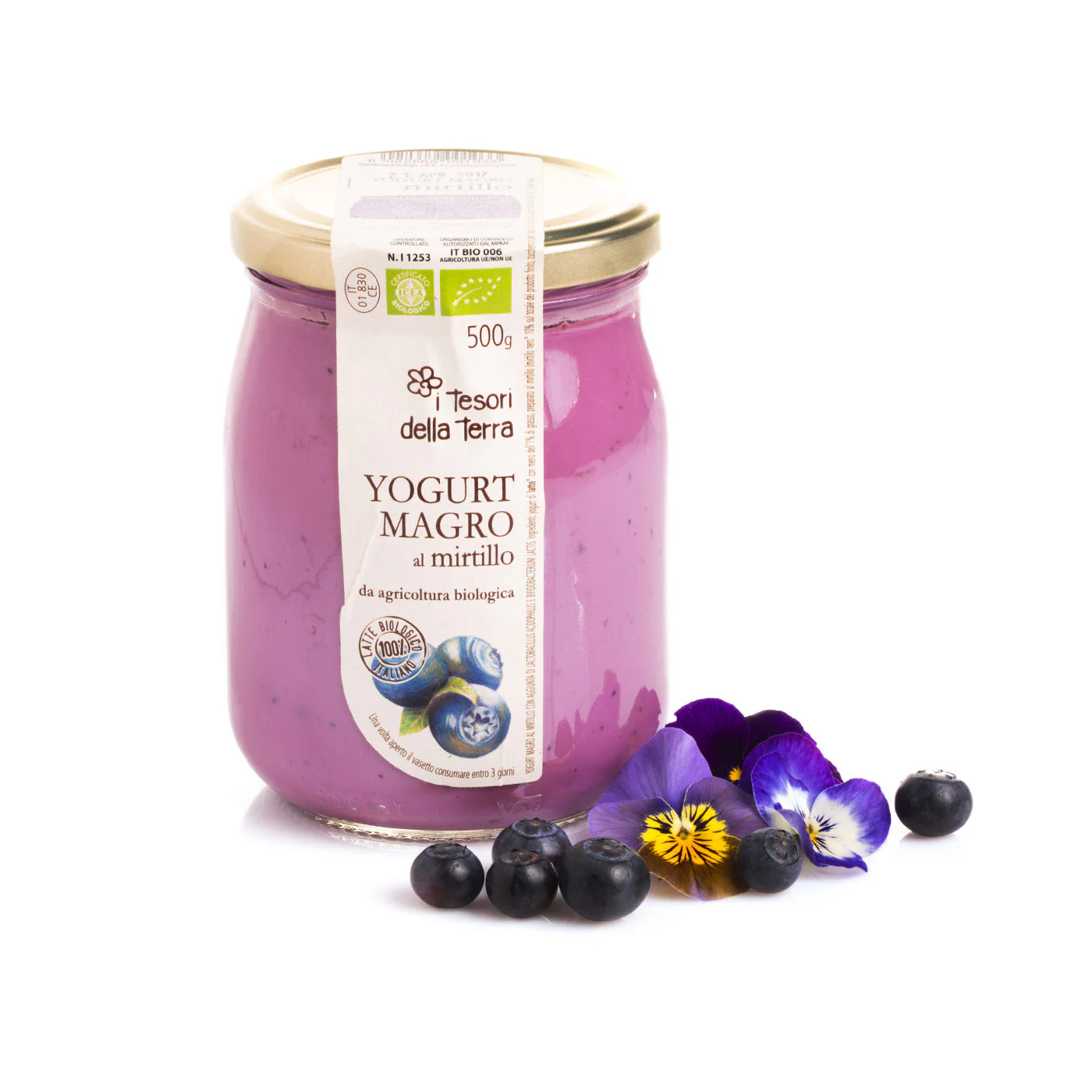 Yaourt à la myrtille 500g